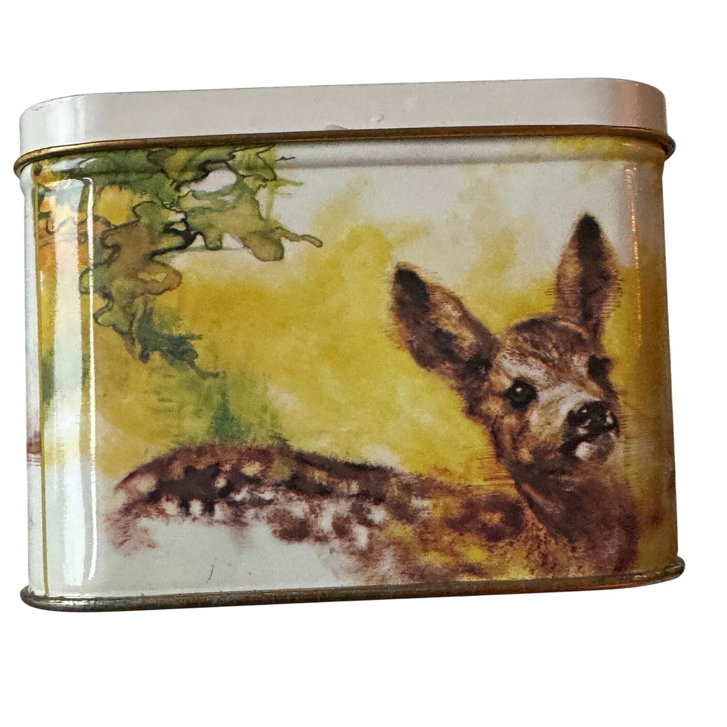 Decorative Royco Collectible Tin - print by Rien Poortvliet