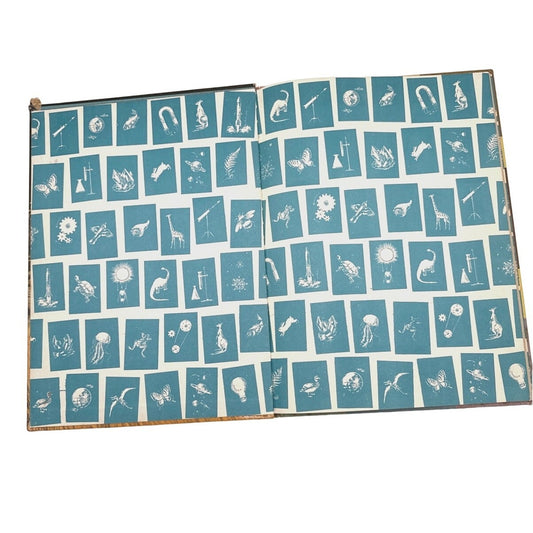 Vintage 1962 Childrens Wonder Book of Wild Animals Retro Illustrated Educational