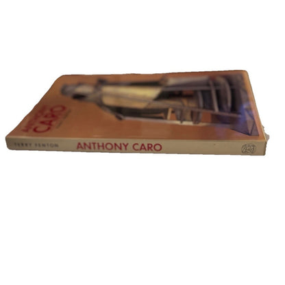 Anthony Caro Sculpture Art Book Photography by Terry Fenton 1986 Thames & Hudson