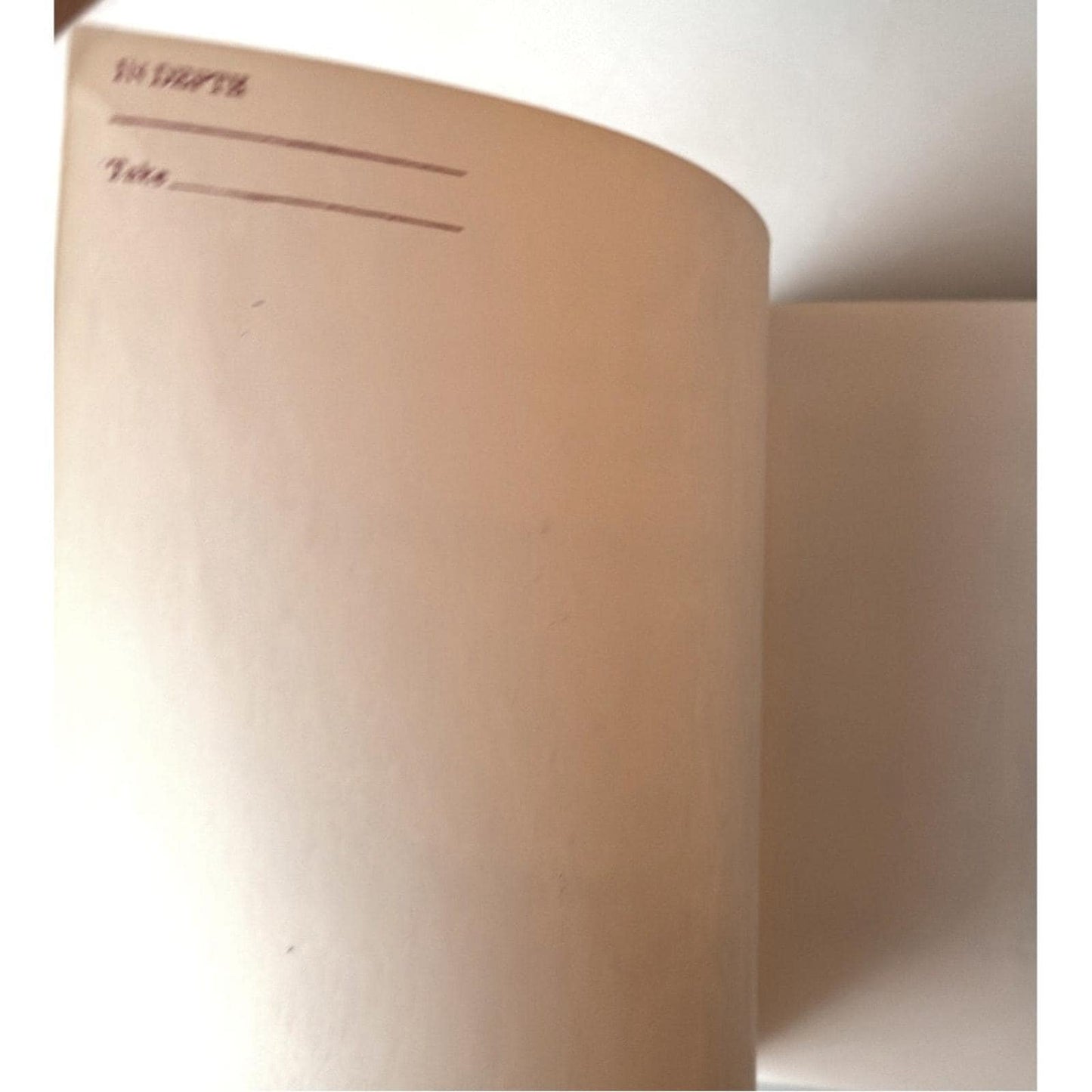 Vintage 1982 Japanese Stencil Design Patterns by Andrew Tuer Softcover Reprint