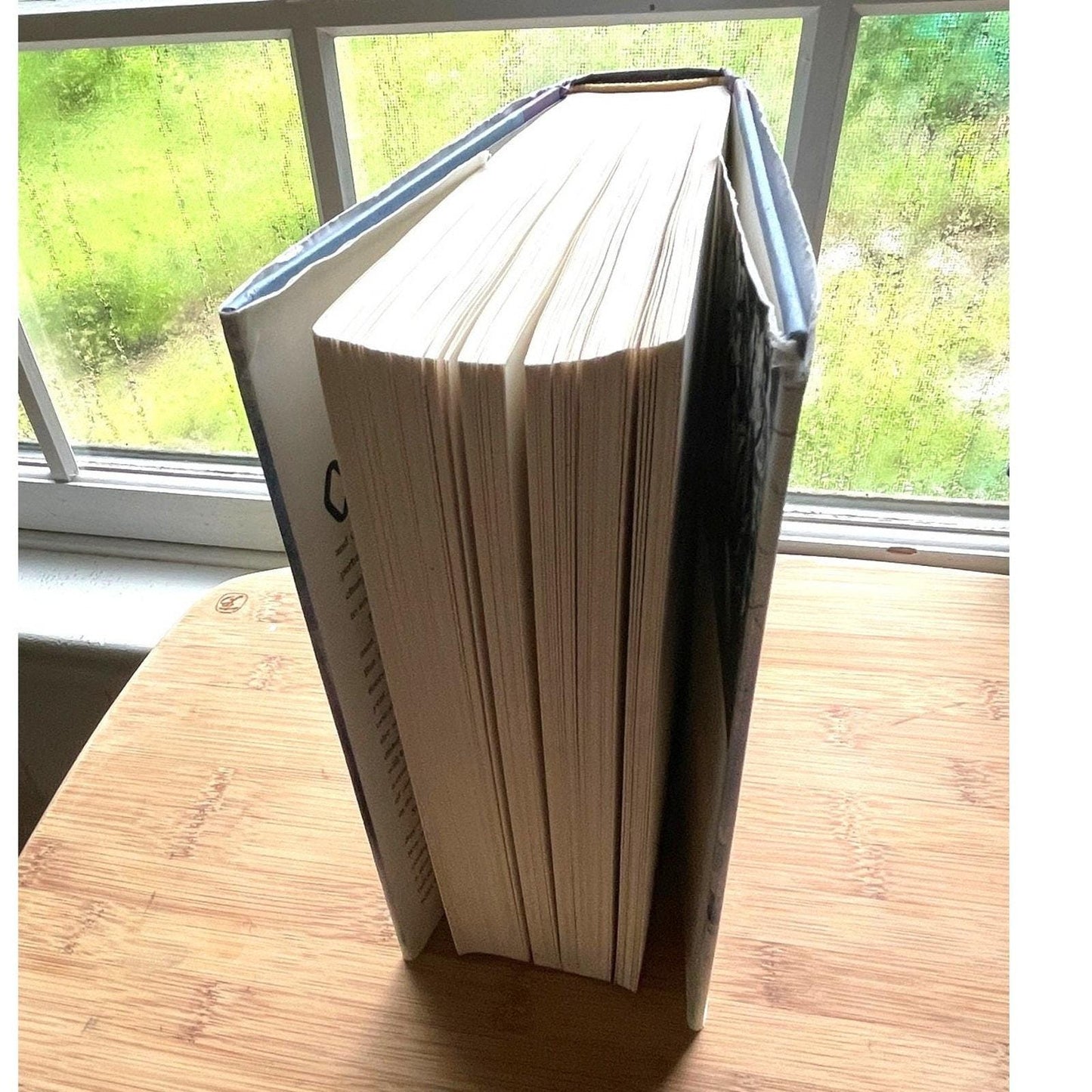 Stephen King Dreamcatcher First Edition Hardcover: 2001 First Print, Dust Jacket