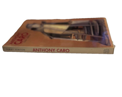 Anthony Caro Sculpture Art Book Photography by Terry Fenton 1986 Thames & Hudson
